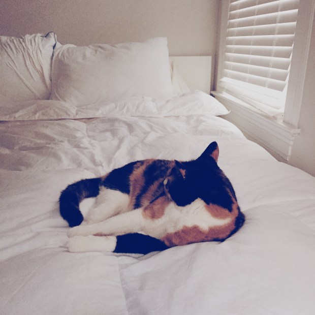 Processed with VSCOcam with m5 preset