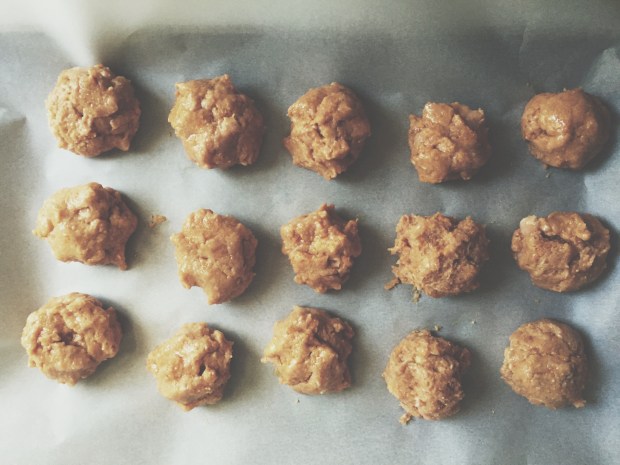 meatballs post-assembly