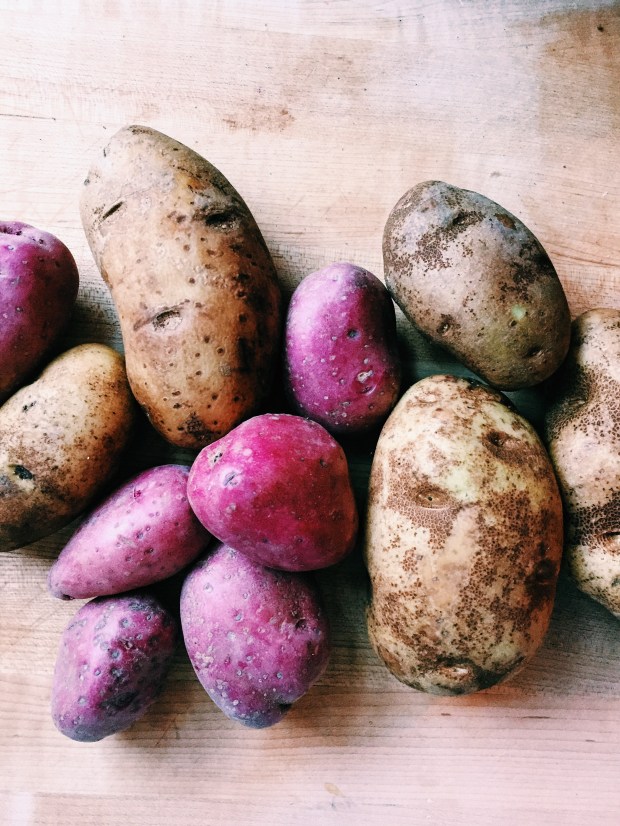 new potatoes