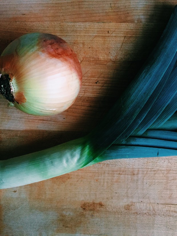 leek and onion