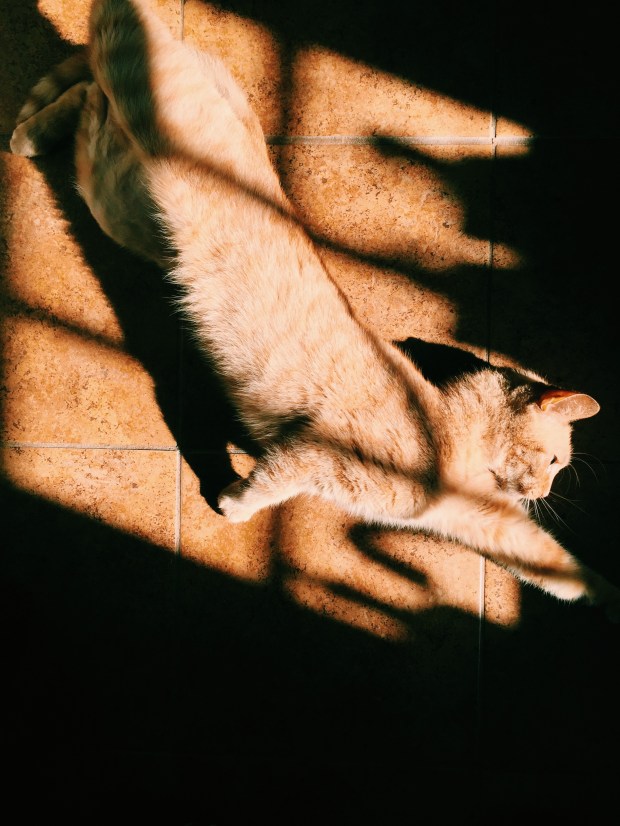 Processed with VSCO with c1 preset